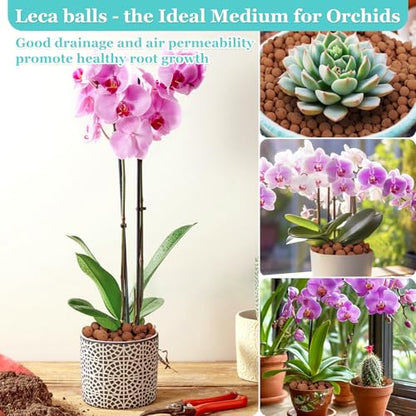 19LB Organic Leca Clay Pebbles for Plants, 4-16mm Natural Leca Ball | Reusable, Drainage, Aeration, Moisture Retention, Hydroponic, Lightweight for Orchids, Succulents, Terrarium, Indoor Plants - size: 19LB