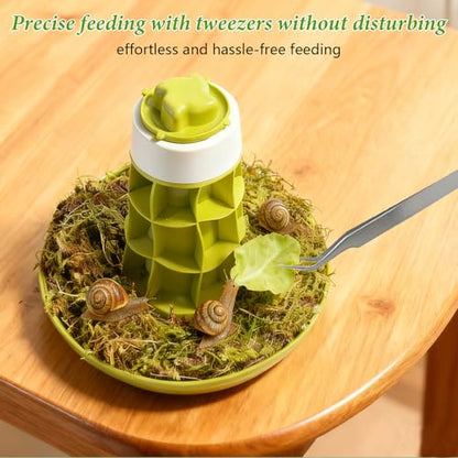 Snail Terrarium Kit Insect Enclosure Bug Terrarium Observation Container Praying Mantis Habitat Breeding Box Micro Habitat Starter Kit for Beetles Spider Small Reptile