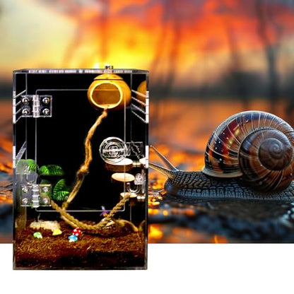 Spider Terrarium Kit, Jumping Spider Enclosure with Hideout, Rope Bridge, Ledge Ladder, Micro Habitat Terrarium for Small Tree Dwelling Reptiles, Arboreal Tarantula Enclosure (6x6x9 Inches) - size: 6x6x9 Inches