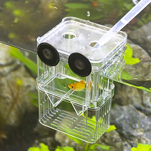 Aquarium Fish Breeder Box Plastic Fish Isolation Breeding Box Hatching Incubator Box for Baby Fishes Shrimp Clownfish Guppy - size: Medium
