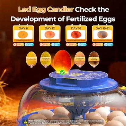 18 Egg Incubators for Hatching Eggs | 360° View with Automatic Egg Turning & Humidity Control, Built-in Egg Candler for Hatching Chicken, Duck, Goose, Quail