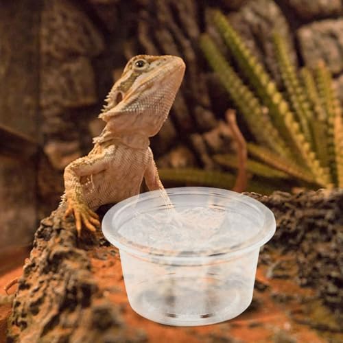 50pcs Small Reptile Water Dish and Food Bowl Set 25ml Plastic Terrarium Feeding Cups for Leopard Gecko, Snake, Frog, Lizard, Bearded Dragon, Suitable for Amphibians and Insect Pets