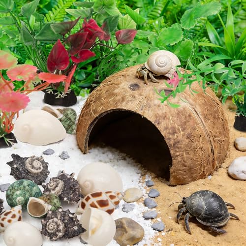 SINKOO Hermit Crab Shells Natural Coconut Shell Hut Artificial Plants 19 PCS Decoration Supplies House Tank | Coconut Shell Hut Artificial Plants Decoration Supplies House Tank