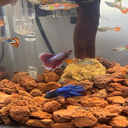 Tfwadmx 10 Pcs Aquarium Red Lava Rock Fish Tank Volcanic Pumice Stones for Shrimp Betta(1.18''-1.96'') - color: Red, size: M:1''-2''