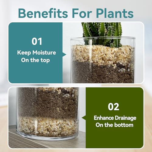 1-2mm Coarse Sand for Plants, 6lbs Horticultural Sand for Gardening | Desert Silica Sand for Cactus, Vases, Aquariums, Terrarium, Fish Tank, Drainage Rocks for Potted Plants, Bamboo, Crafts