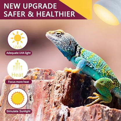 150W Reptile Heat Lamp Bulb,Basking Spot Lamp Bulb for Reptiles & Amphibians，Reptile Daylight Heat Bulb for Bearded Dragon, Lizard, Turtle - size: 150*1