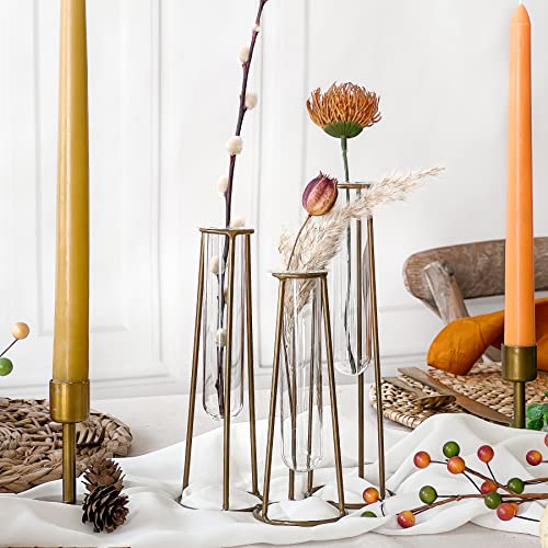 Propagation Station Terrariums with Gold Metal Stand - Kate Aspen 3 Glass Test Tube Planters for Indoor Plant, Air Plants, Plant Clippings, Cut Flowers, Herbs, Succulents | Home Decor Table Decoration