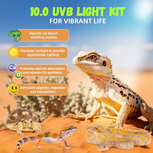 GlowUp 24W 10.0 T5 UVB Reptile Light Fixture Combo Kit 22inch Reptile Lamp Terrarium Hood 10.0 UVB Light for Bearded Dragon Reptiles Tropical Desert-Dwelling Lizards and Tortoises