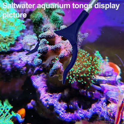 31.5Inch Long Corals Grabber,reefs Feeders,Aquarium Veggie Feedting Tool,Aquarium Food Clip Feeding(Long Reef Grabber and Coral Feeder Kits(Anti-Rust) - size: Long Reef grabber and coral feeder(ANTI-RUST)