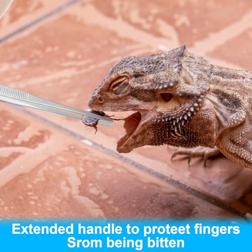 2 Pcs Feeding Tongs,Reptile Feeding Tongs Aquarium Tweezers 10.5 in Straight & 9.8 in Curved Extra Long Tweezers for Aquarium Terrarium Lizards Snakes Bearded Dragon