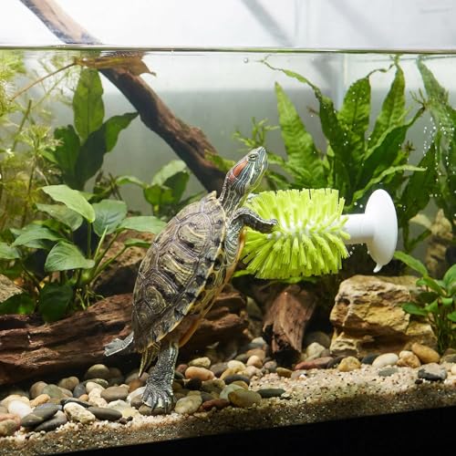 shuielai1PCS Turtle Brush with Suction Cup, Tank Scratch Scrub Back Shell Cleaner for Red Eared Slider, Exfoliate Remove Scutes, Green Turtle Aquarium Habitat Accessories