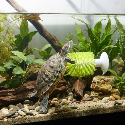 shuielai1PCS Turtle Brush with Suction Cup, Tank Scratch Scrub Back Shell Cleaner for Red Eared Slider, Exfoliate Remove Scutes, Green Turtle Aquarium Habitat Accessories