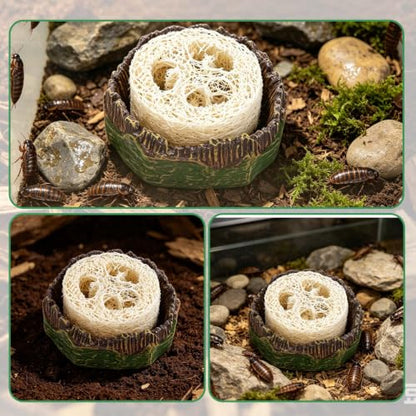 NQEUEPN Cockroach Water Basin & 3 Loofah, Reptile Container Supplies | Cockroach Water Basin with Luffa Set Durable Reptile Live Habitat Supplies for Crickets Springtails Isopods