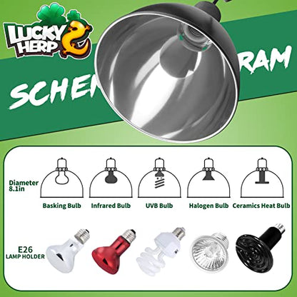 LUCKY HERP Aluminum 8.1inch Dome Reptile Light Fixture, Reptile Heat Lamp Fixture for UVB Bulb Basking Heat Bulb - color: Dome Reptile Light Fixture, size: 8.1 inch Non-Adjustable