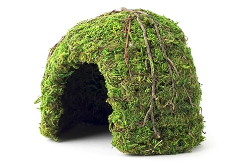 Galapagos (05366 Mossy Dome Hide, 6 in, Galápagos Green