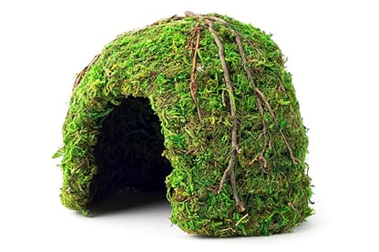 Galapagos (05366 Mossy Dome Hide, 6 in, Galápagos Green