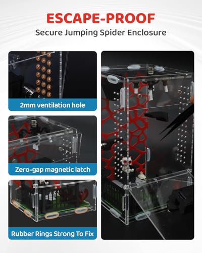 DIY Jumping Spider Enclosure, 4.7"x4.7"x7.9" Escape Proof Spider Terrarium, Small Reptile Acrylic Accessories Set, with Temperature and Humidity Detector, Platform and Hide, Tweezer, Feeding Bowl