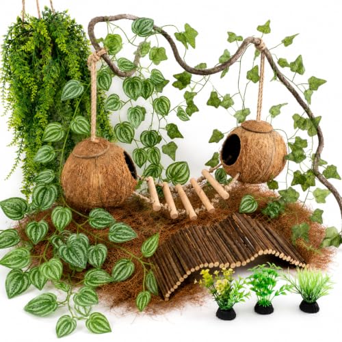 RUNANIA Crested Gecko Tank Accessories, Reptile Hanging Plants Vines with Natural Double Coconut Hideout & Climbing Ladder Decor for Hermit Crab Lizard Leopard Gecko Chameleon Snake Terrarium Decor