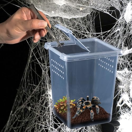 4 Pcs Insect Spider Terrariums Breeding Box Hatching Container Small Reptile Arboreal Spider Mantis Scorpion Centipede Acrylic Breeding Box