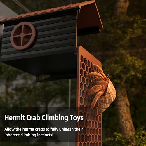Hermit Crab Accessories | Hermit Crab Climbing Toys with Climbing Wall | Multi-Functional Hermit Crab Hideaway & Foraging Cave with Ladder | Hermit Crab Cage Decorations