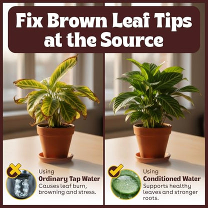 Tap Water Conditioner for Plants, 4 oz - Conditions Tap Water for Houseplants, Supports Balanced pH, Indoor Plant Care Drops for Root Support & Greener Leaves, Treats 500+ Gallons, 2–3 Day Results