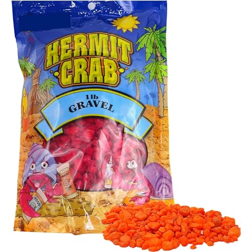 Needzo Reptile and Hermit Crab Supplies, Food Pouch, Habitat, Neon Gravel, Mister Trainer, and Seashell Palm Tree Accessory, All in one Starter Pack, 5 Items