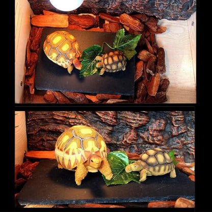kathson 2 pcs Reptile Basking Platform Tortoise Rock Plate Turtle Bathing Area Feeding Food Dish Resting Terrace（7.9x11.8inch） - size: 7.9x11.8inch,2PCS
