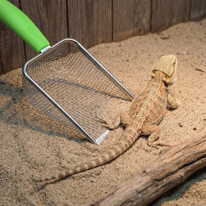 Stainless Steel Reptile Sand Substrate Scoop (Green, 11 Inch) | Mesh Litter Shovel, Fine Mesh Metal Reptile Litter Cleaner Scooper, Litter Cleaner Corner Scoop Sand Sifter for Sands Waste