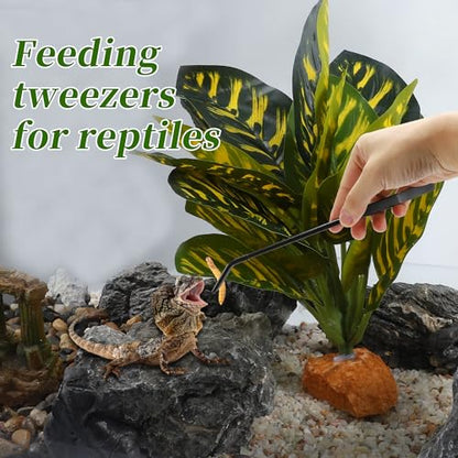 Reptile Feeding Tongs, Stainless Steel Lizard Feeding Tongs, Aquarium Curved Feeding Tweezers for Reptiles with Rubber Tip, Terrarium Feeding Tongs for Gecko, 10.63" Length, Black - size: 10.63"