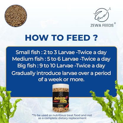 Dried Black Soldier Fly Larvae - 100% Natural, Protein Rich Fish Food for Arowana, Flower Horn, Oscar, Parrots, Reptiles (75 g/2.65 Oz/500 ml)
