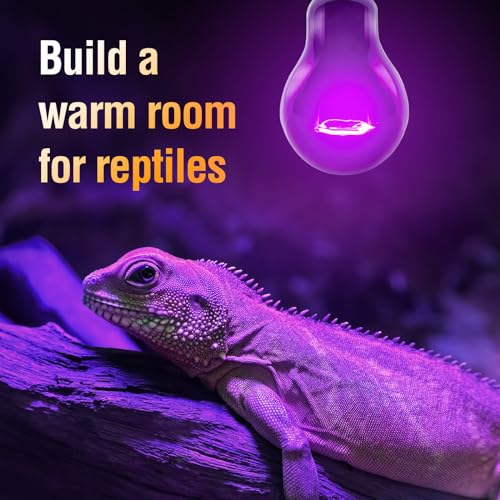 Leoterra Reptile Night Heat Lamp 2-Pack 100W - Purple Moonlight Simulation Bulb 40+Gallons Tank Use for Chameleons, Snakes, Green Iguanas Lizard Use 120V E26 Base 2000+ Hours Long Life - style: 100w