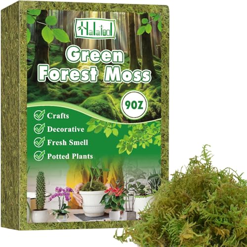 Halatool 9OZ Green Moss for Indroor Plants, 8QT Orchid Moss for Repotting | Retain Moisture, Forest Moss for Potted Plants, Real Moss for Succulents, Carnivorous, Houseplants, Terrariums, Reptiles - size: 9oz