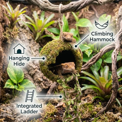 Reptile Hide with Hanging Climbing Ladder – Handmade Crested Gecko Tank Accessories, Hide for Crested Gecko, Hermit Crab, and Small Reptiles