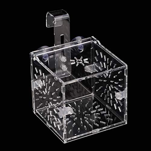Fish Isolation Breeder Box, Clear Acrylic Breeding Incubator with Divider and Dual Mounting for Aquarium Fish Tank Transparent 3.94 x 3.86 x 3.94 in 1 Pack