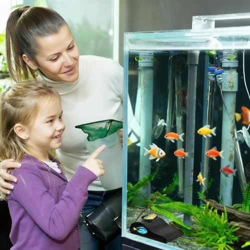 Aquarium Decor, Shrimp Dome Hide & Habitat, Aquarium Tunnel Cave, Natural Curve Underground Hideout for Shrimp, Guppy, Fish Tank Decor & Viewing Accessories