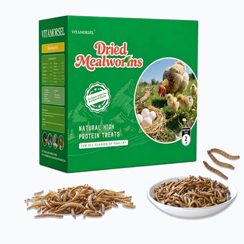 2LB Dried Mealworms +2 Preserved Worm Packs for Chickens & Birds | High-protein treat for chickens, ducks, wild birds, reptiles, turtles & fish