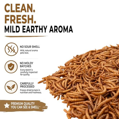 Freeze-Dried Mealworms – High-Protein Treat for Reptiles, Birds & Insect-Eating Pets – 2.6 oz Jar