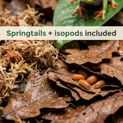 Tree Frog Bioactive Kit - 17qt Premium Bioactive Substrate + 2qt Leaf Litter + 4qt Sphagnum + Charcoal Iso-Flats Hide + 3oz Calcium + 25 Powder Orange Isopods + 8oz Tropical Springtails
