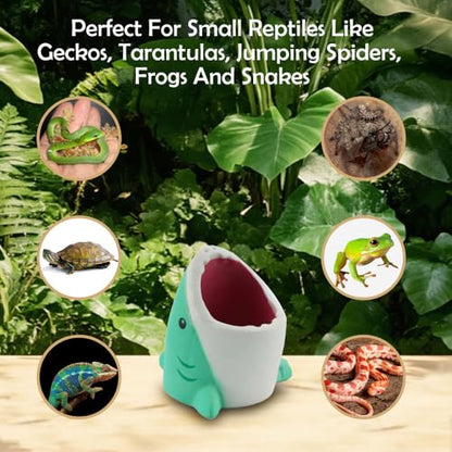 2 Pack Small Reptile Food Dish Plastic Water Bowl for Spider Tarantula Lizard Gecko Frog Snake