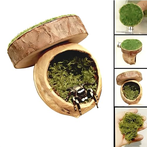 2pcs Jumping Spider Hideout,Accessories Enclosure,Magnet Hidden,Climbing Platform, Hiding Habitat from Natural Materials,Suitable for Small Insects