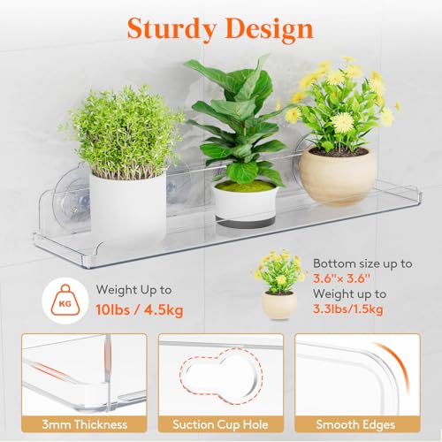 Lifewit Window Plant Shelves 14.6", 2 Pack Acrylic Suction Cup Holder | No-Drill Window Sill Extender for Indoor & Outdoor Micro Greens, Clear Floating Shelf for Bathroom Mirror, or Kitchen Wall