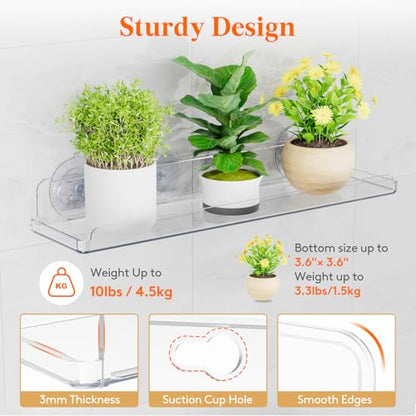 Lifewit Window Plant Shelves 14.6", 2 Pack Acrylic Suction Cup Holder | No-Drill Window Sill Extender for Indoor & Outdoor Micro Greens, Clear Floating Shelf for Bathroom Mirror, or Kitchen Wall