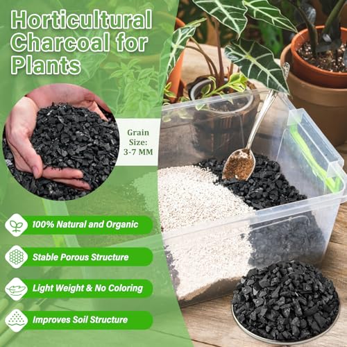 10 LB Organic Leca Clay Pebbles & 2 QT Horticultural Charcoal, Natural Soil Amendment for Drainage, Aeration, and Healthy Indoor Plants, Orchids, Hydroponics & Terrariums