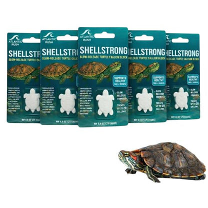 Shellstrong Premium Calcium Block for Aquatic Turtle - Slow Release Water Tank Conditioner - Cuttlebone for Aquarium - Turtle Tank Accessories - 20 Gallon Aquatic Treatment (5 Calcium Blocks) - size: 5 Calcium Blocks