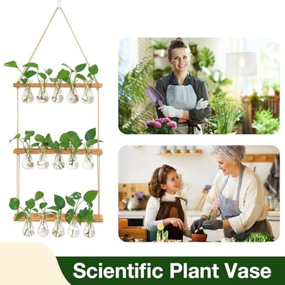 XXXFLOWER Wall Hanging Propagation Station 5 Bulb Vase 3 Tiers | Hanging Plant Holder Wall Hanging Planters for Indoor Plants, Wall Decor for Living Room Office - size: Natural-15 Bulb Vase