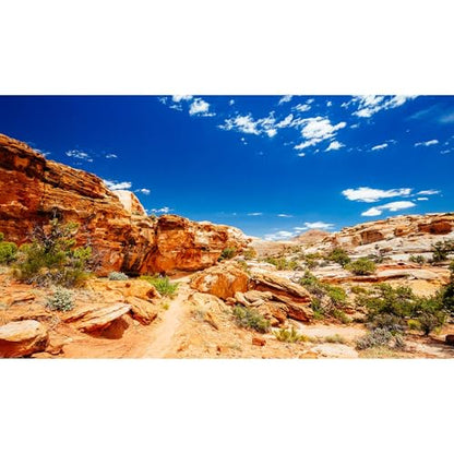 Desert Reptile Tank Background Blue Sky Rock Boulders Terrarium Background Desert Landscape Reptile Terrarium Background Rocky Bush Reptile Habitat Background Bearded Dragon Tank Background 24x12in - color: Blue, size: 24(W)x12(H)inches/ 60(W)*30cm(H)