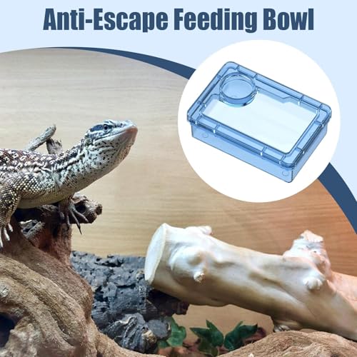 Reptile Water Bowl - Anti-Escape Crested Gecko Food Dish, Reptile Amphibian Feeders, Polystyrene | Snake Water Bowl for Habitat Feeding Gecko Chameleon Terrarium Frog Tank Lizard Tortoise Cage Le - color: Blue