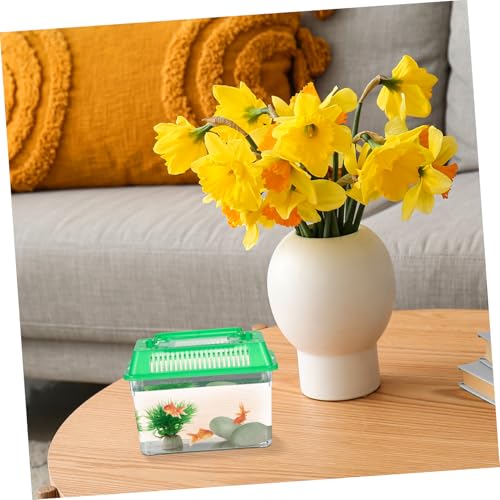 Abaodam 5pcs Portable Transparent Reptile Feeding Boxes Mixed Color Small Plastic Fish Tanks for Turtle Goldfish Breeding and Transport Home Habitat