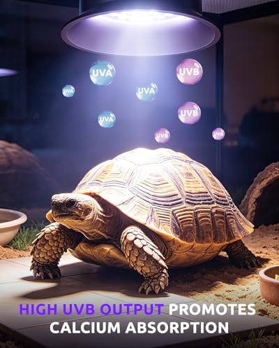 UVB UVA Light for Reptiles, Reptile LED Light Fixture with Timer & Dimming | for Bearded Dragon, Geckos, Turtle, Chameleon, Lizard, Snake, UVB Lamp 6W Adjustable Brightness for Desert Tropical Reptiles
