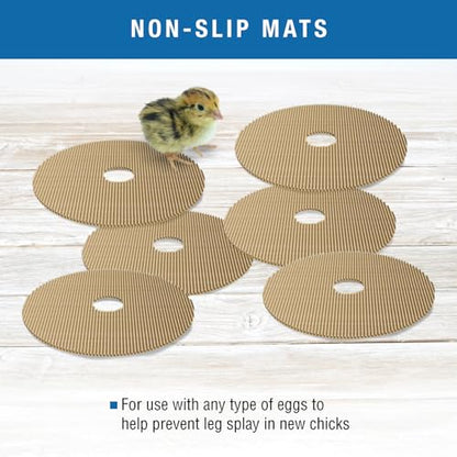 Brinsea Cardboard Hatching Mat for Maxi Egg Incubators, Pack of 6 | Authentic Brinsea Maxi 24 Incubators liner; textured, disposable floor covering helps chicks grip safely during hatching - size: Maxi, 24 Eggs
